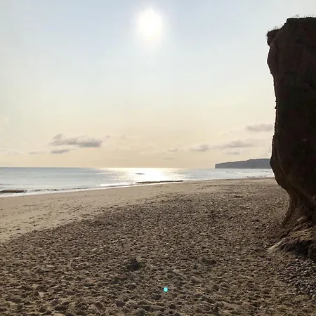 Merchants Quarters - Berkano & Othala - Two Stunning Apartments In One Booking - Both With Harbour And Sea Views - Free Roof Top Terrace With Sea And Harbour View And Central Location To Beaches Amenities Restaurants And Harbour Сasa de vacaciones Scarborough