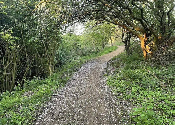 Merchants Quarters - Berkano & Othala - Two Stunning In One - Both With Harbour And Sea Views - Free Roof Terrace With Sea And Harbour View And Location To Beaches Amenities Restaurants And Harbour