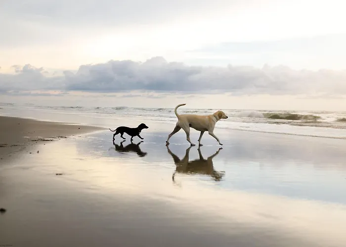 Ferienhaus Merchants Quarters - Berkano & Othala - Two Stunning In One - Both With Harbour And Sea Views - Free Roof Terrace With Sea And Harbour View And Location To Beaches Amenities Restaurants And Harbour Scarborough