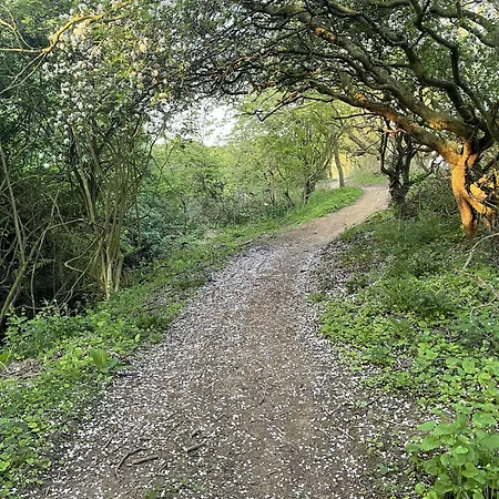 Merchants Quarters - Berkano & Othala - Two Stunning Apartments In One Booking - Both With Harbour And Sea Views - Free Roof Top Terrace With Sea And Harbour View And Central Location To Beaches Amenities Restaurants And Harbour