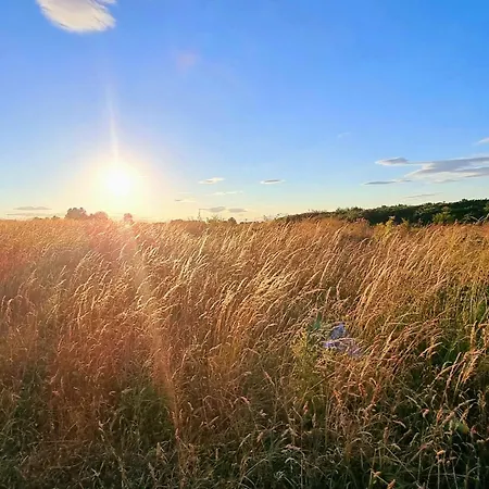 Vakantiehuis Merchants Quarters - Berkano & Othala - Two Stunning Apartments In One Booking - Both With Harbour And Sea Views - Free Roof Top Terrace With Sea And Harbour View And Central Location To Beaches Amenities Restaurants And Harbour *